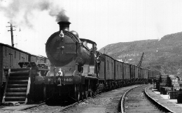 Fish train on the pier